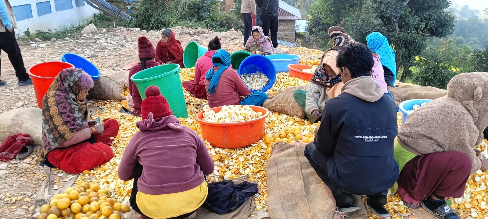 प्रशोधन उद्योग खुलेपछि गाउँमै बिक्रि हुन थाल्यो जुनार, किसानहरु उत्साहित